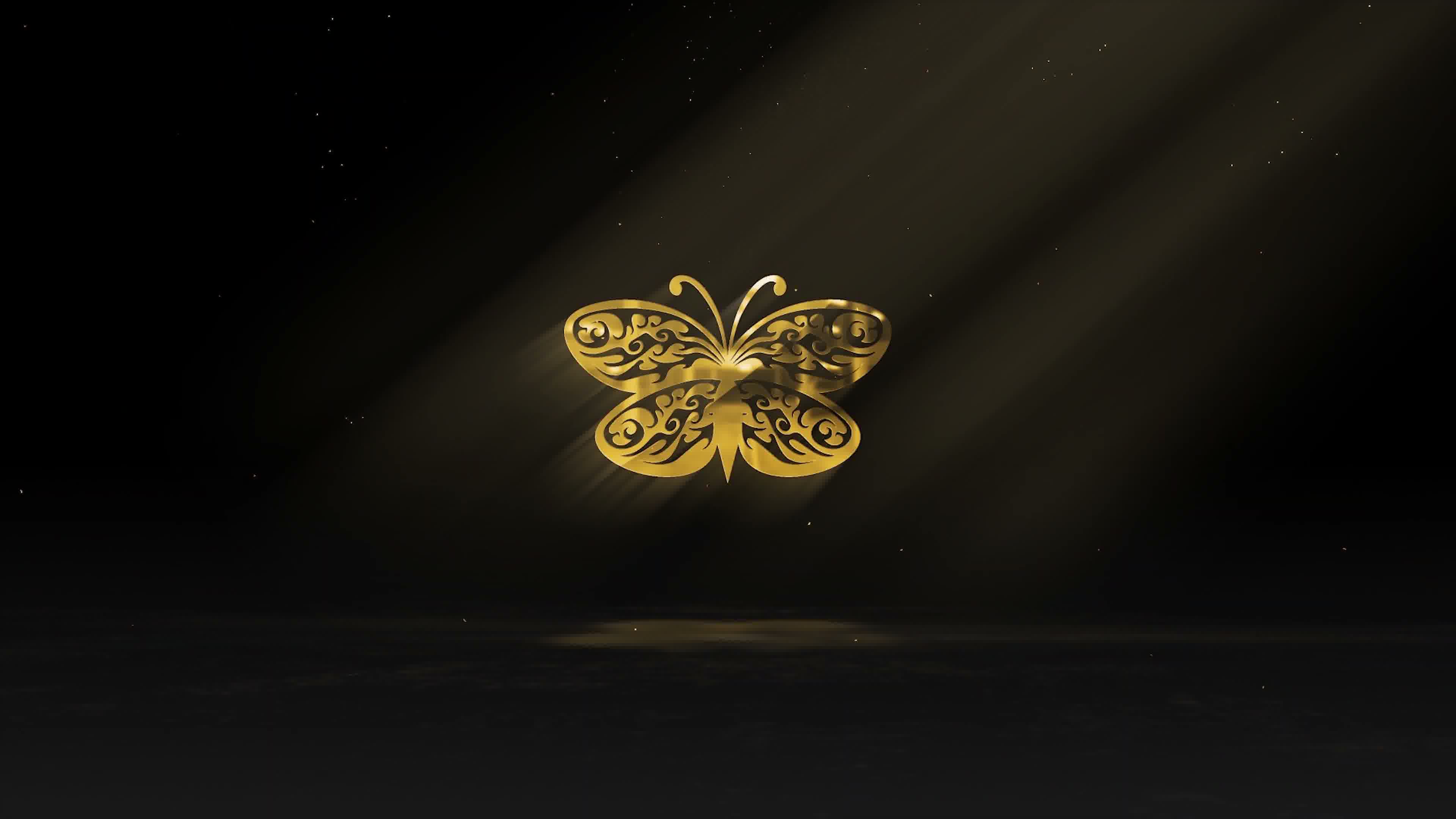 Butterfly+Circle